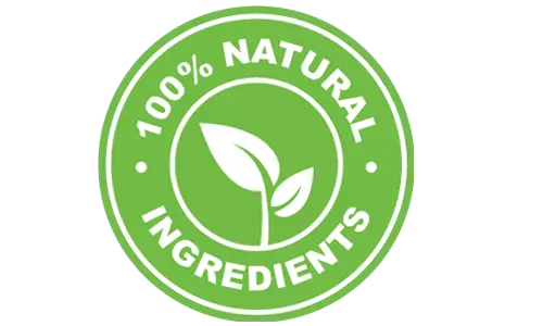 digestistart all natural ingredients